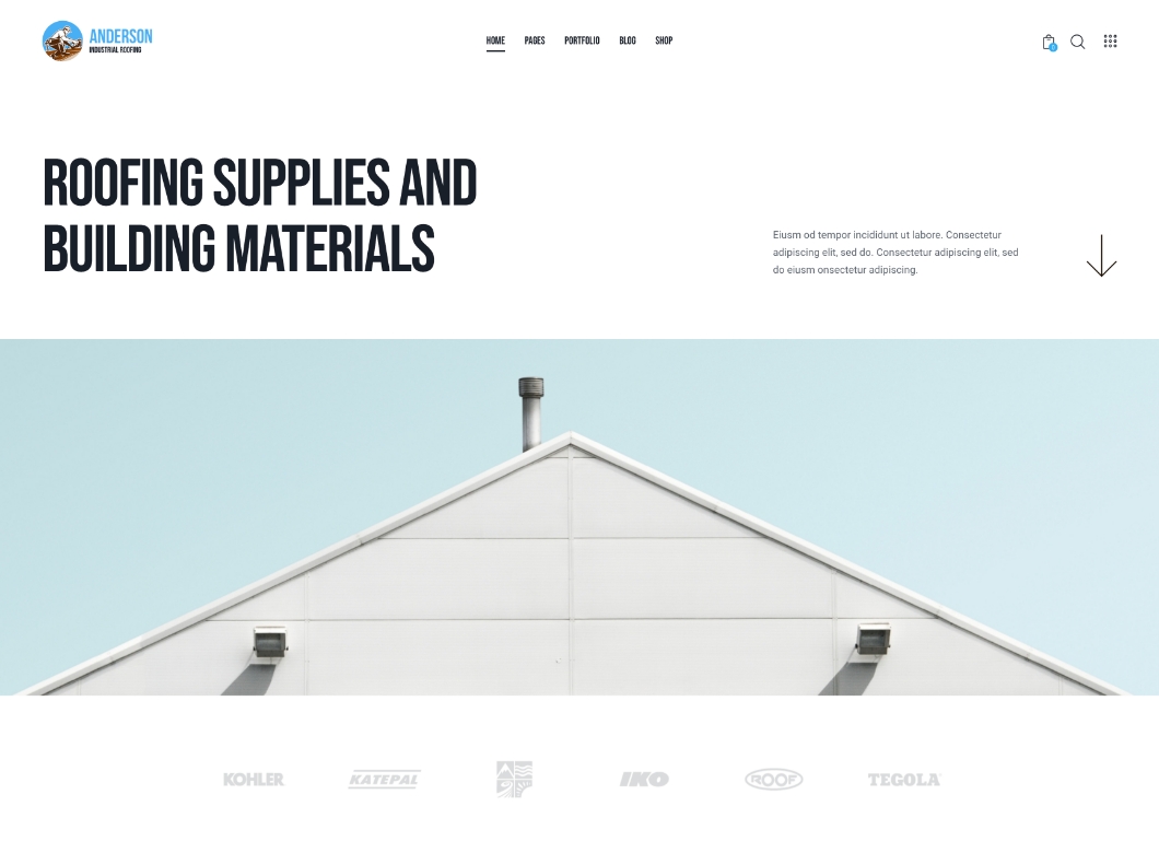 Online Store